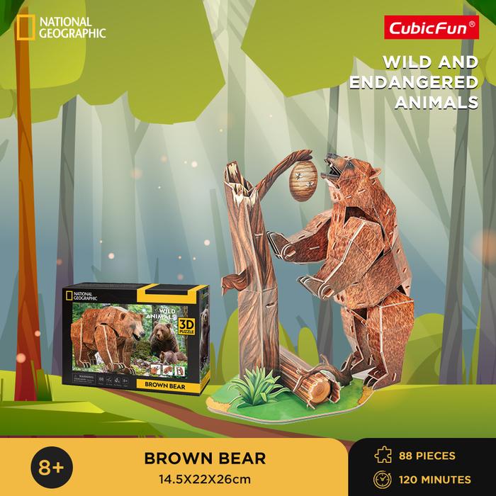 National Geographic Brown Bear