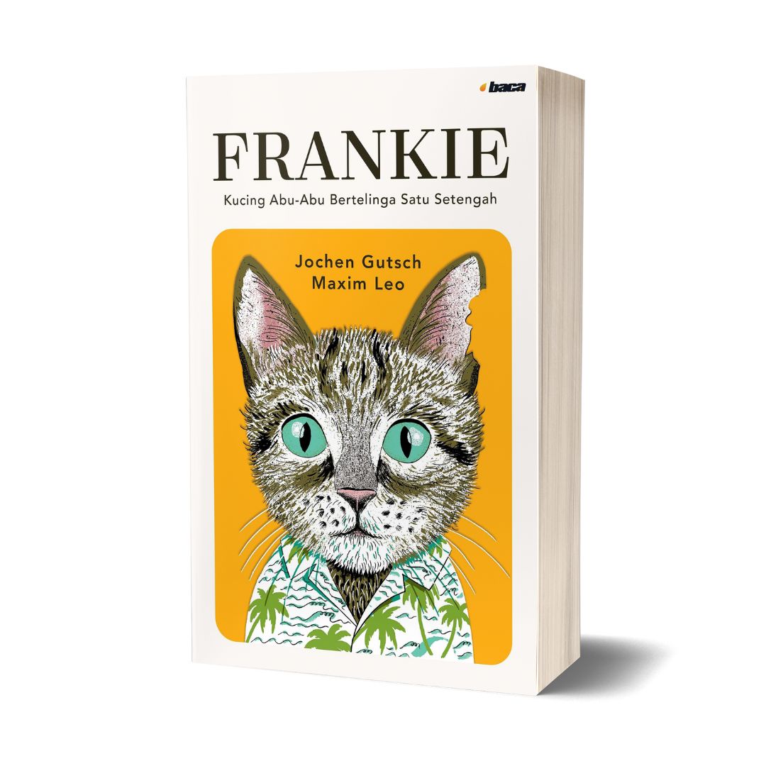 FRANKIE: KUCING ABU-ABU BERTELINGA SATU SETENGAH