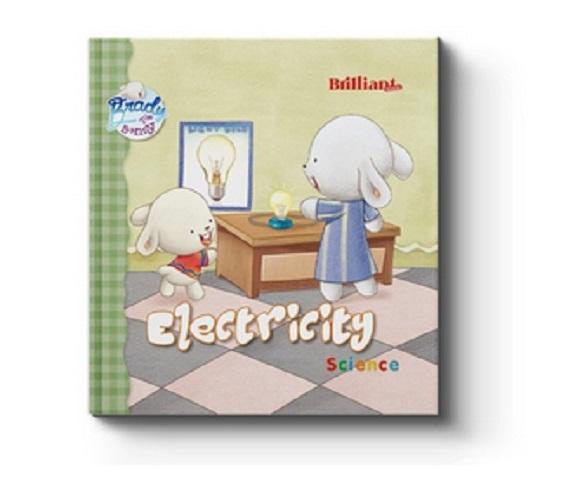 BRADY THE BUNNY - ELECTRICITY
