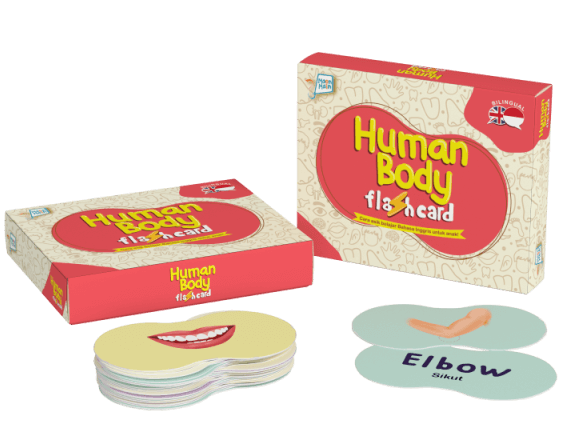 FLASH CARD: HUMAN BODY