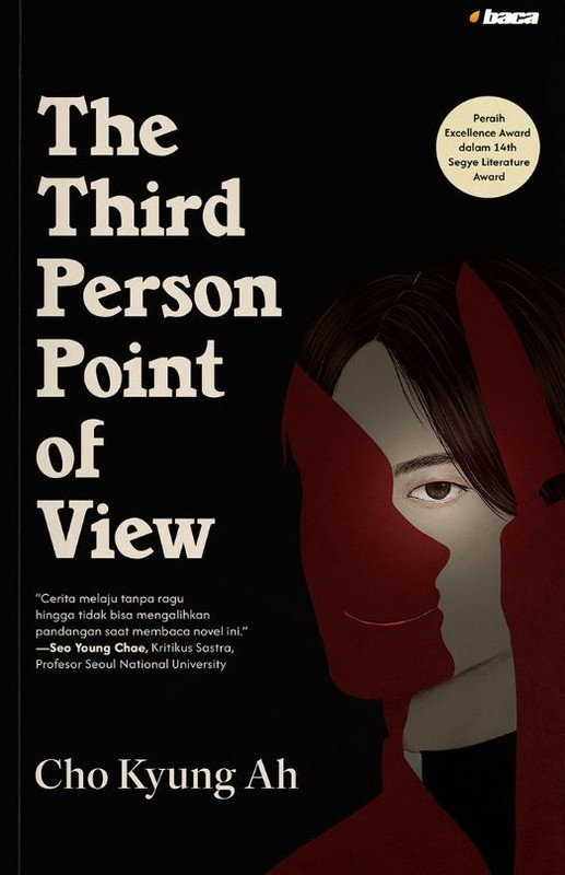 The Third Person Point of View
